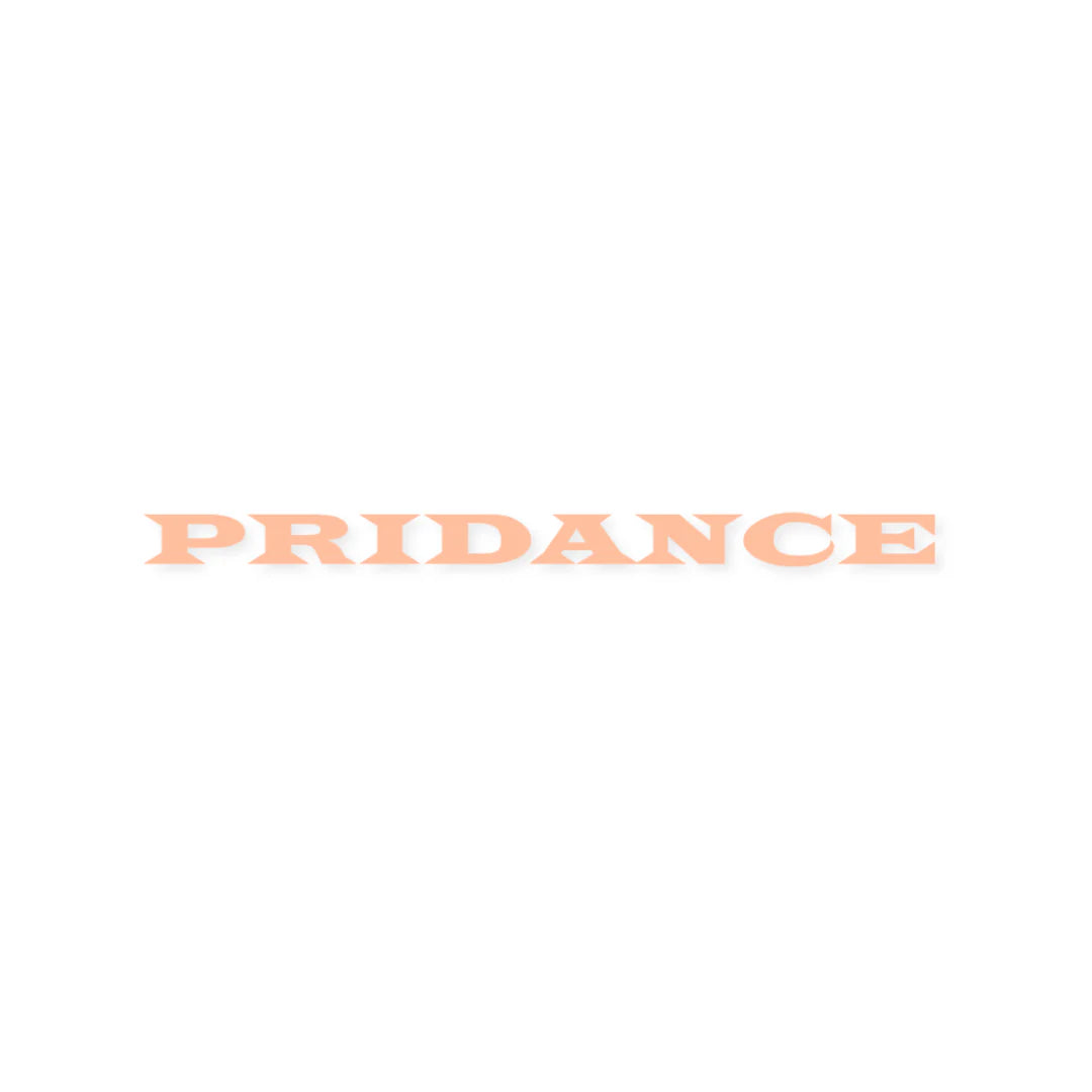 Stylish "PRIDANCE" text logo on a white background, representing the vibrant and creative Pridance collection.