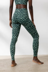 Hey Honey Yoga Leo Jade leggings in leopard print, showcasing high waist and comfortable fit, ideal for active wear.