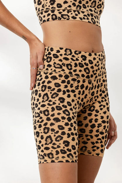 Hey Honey Yoga - Biker Leo Biscuit - Miss Salsa