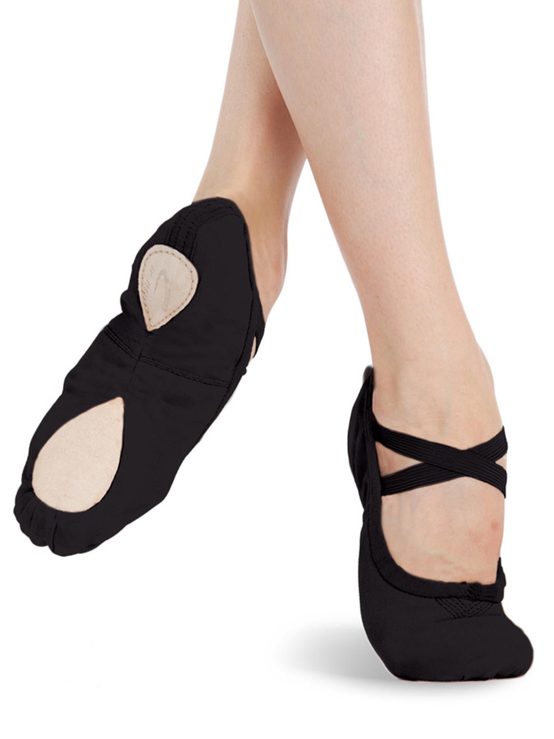 Pro Canvas Ballet Schoen
